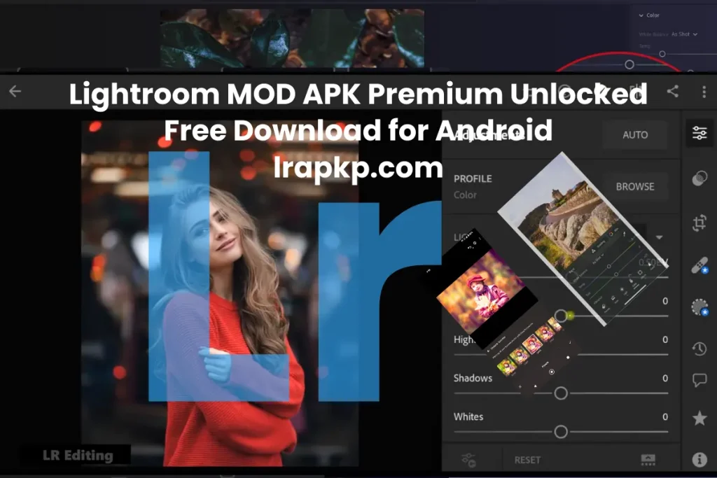 Lightroom MOD APK Premium Unlocked 4
